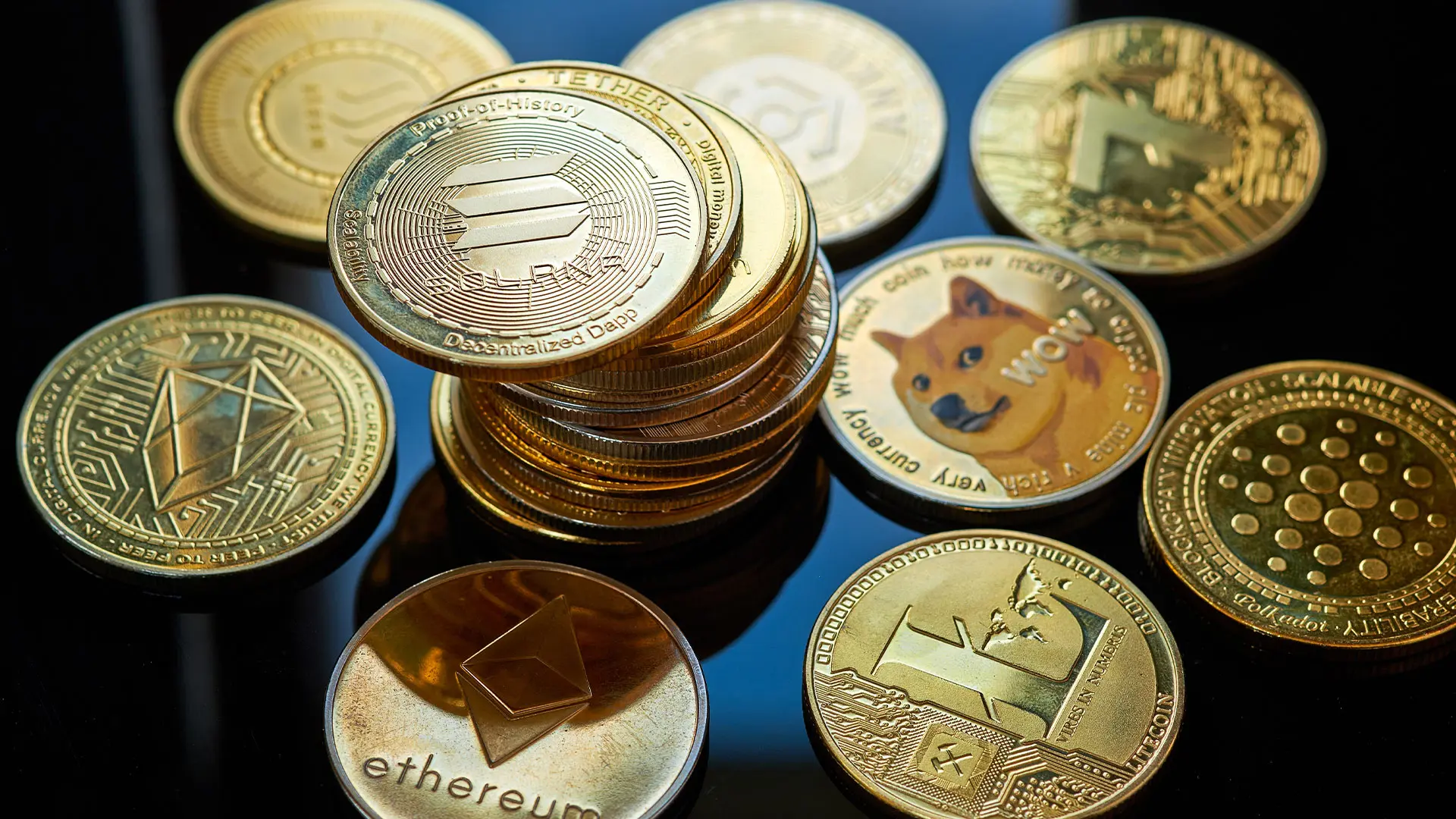 Business and NGOs are embracing cryptocurrencies