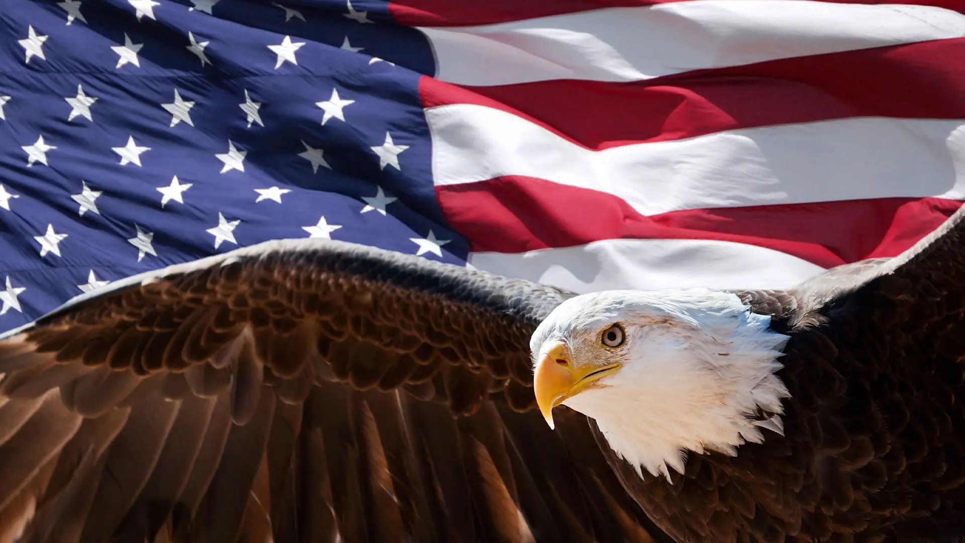 what is the economic system in the united states