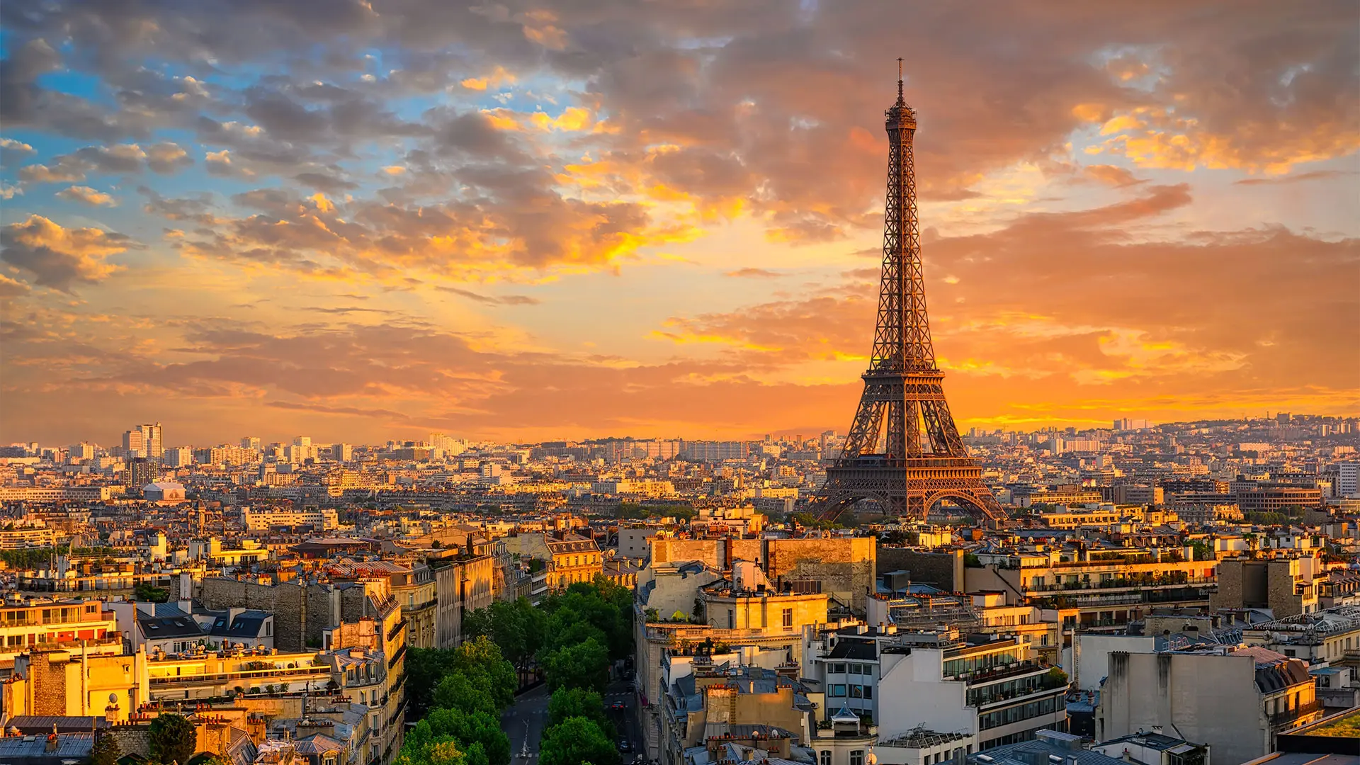 french international companies