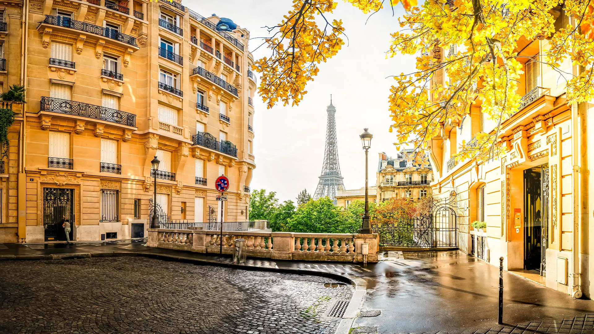 Study in Paris