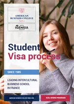 Visa flowchart