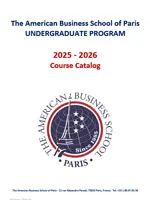Vignette Undergraduate Program